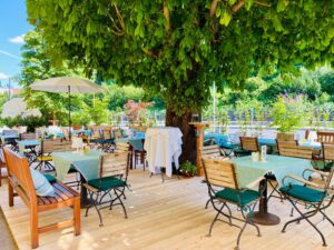 Garden terrace with outdoor seating under lush green trees
